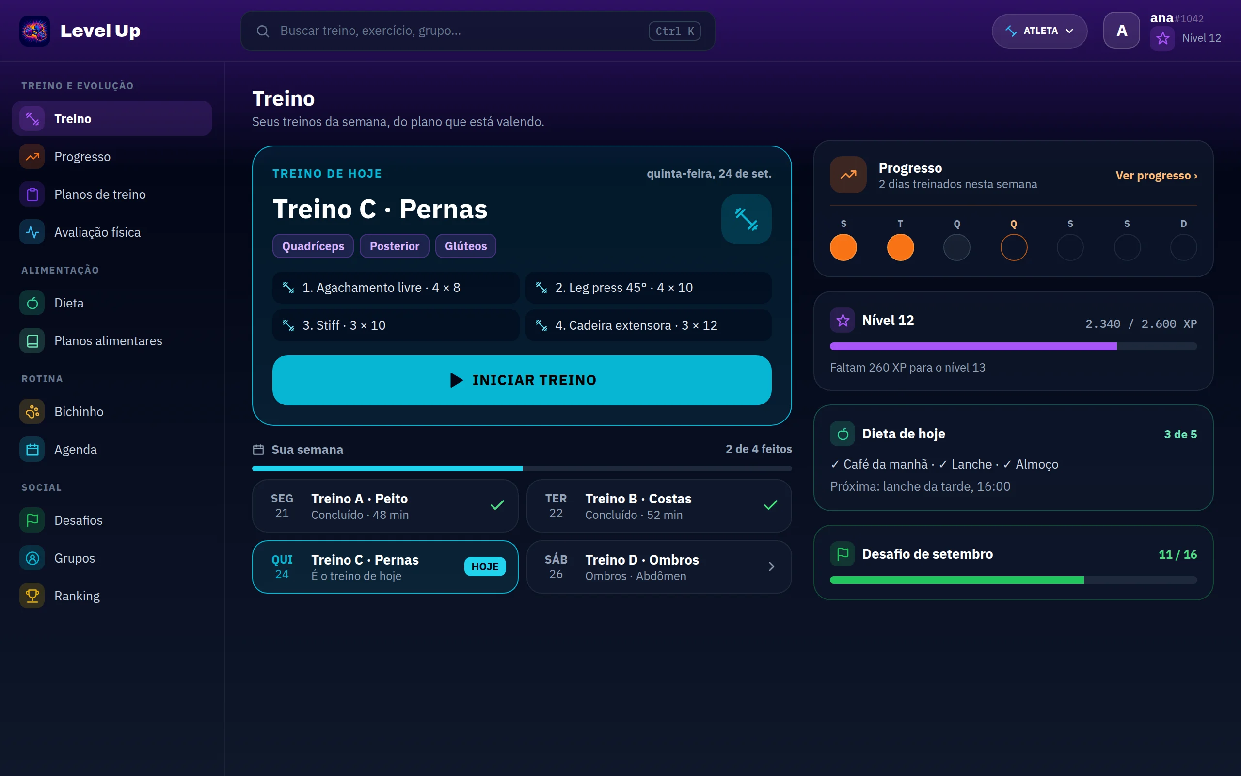 O Level Up no computador: a tela Treino com o treino do dia, a semana e o progresso.